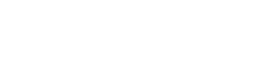 Dr Dennis Gross