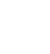 BSI